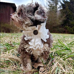 Aristocrat Collar, Dog ring bearer, Dog collar, Cat collar, Wedding accessory, Vintage dog collar, Dog wedding accessory by FiercePetFashion
