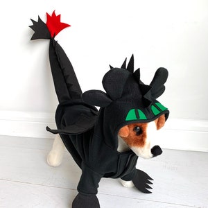 Large dog dragon costume top