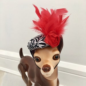 Dog feather fascinator, Dog fascinator, Kentucky Derby hat, Dog Derby hat, Pet accessories, Dog hat by FiercePetFashion