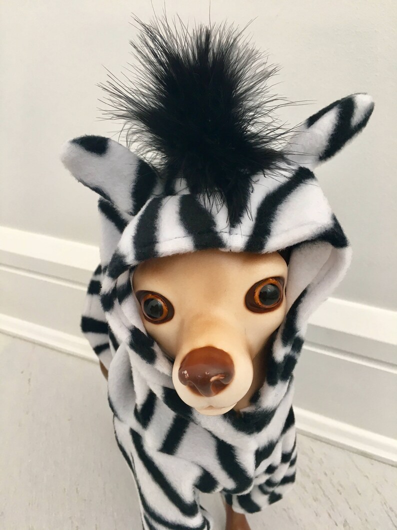 Zebra Costume Dog Zebra Costume Dog Halloween Costume Pet Etsy