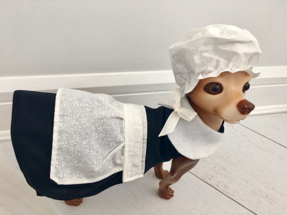 Handmaid's tale top halloween costume dog