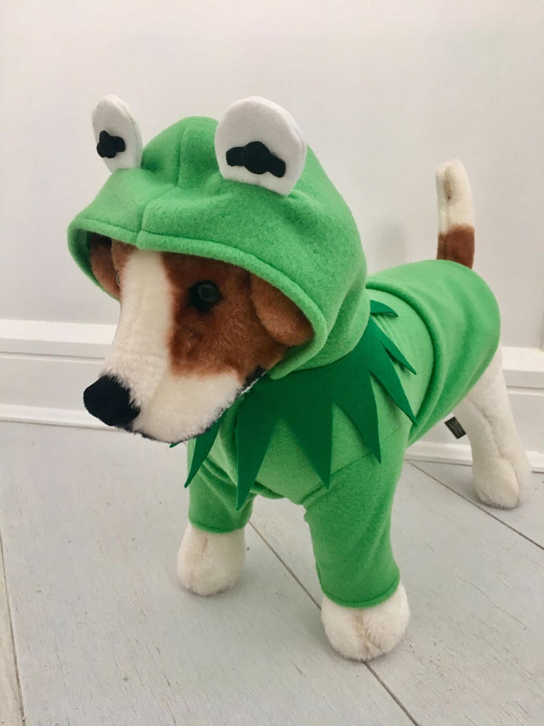 Dog Frog Costume Green Frog Costume Frog Apparel for Dogs Etsy