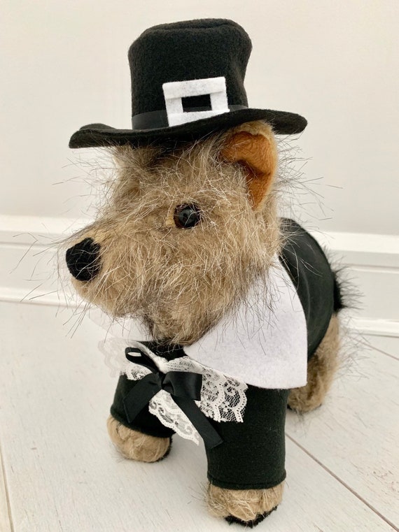 Pilgrim costume top for dog