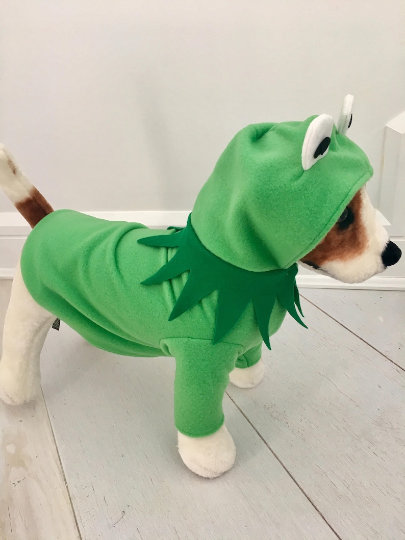 Dog Frog Costume Green Frog Costume Frog Apparel for Dogs Etsy