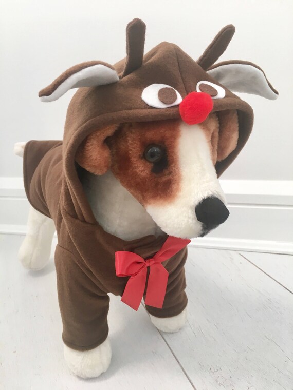 dog rudolph costume