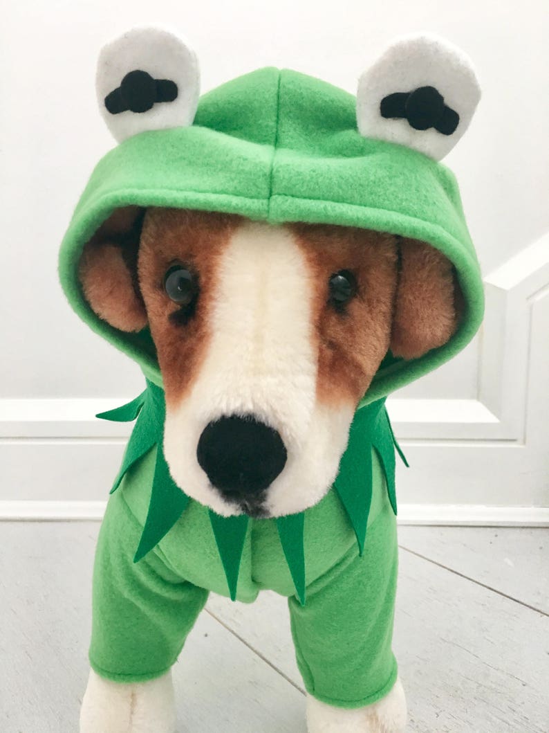 Dog Frog Costumegreen Frog Costume Halloween Costume Pet Etsy