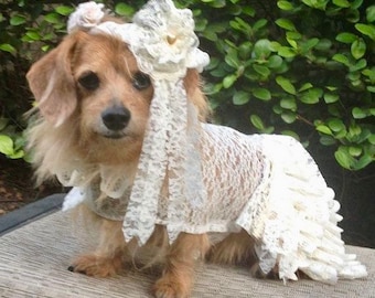 Dog Wedding Dress with Veil- Dog wedding dress- Wedding dress- Dog wedding gown by FiercePetFashion