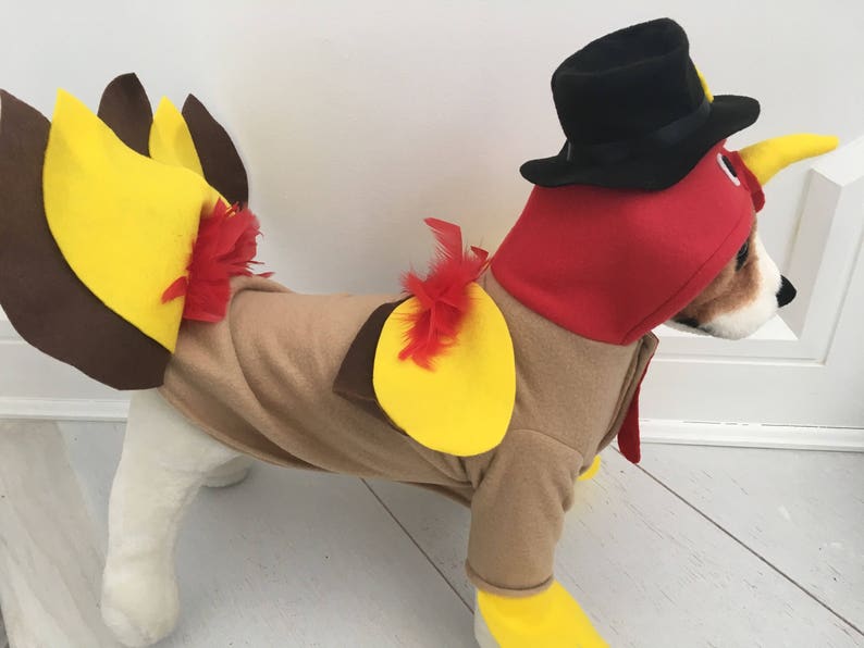 Turkey costume Dog thanksgiving costume Dog turkey costume Pet turkey costume by FiercePetFashion image 4