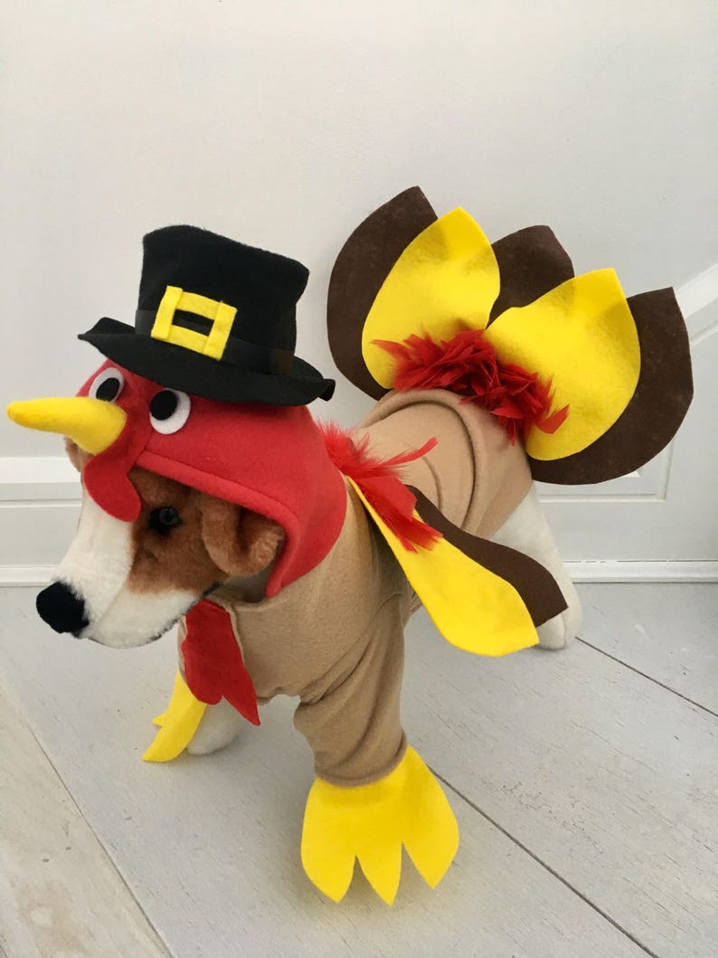 Turkey costume Dog thanksgiving costume Dog turkey costume Pet turkey costume by FiercePetFashion image 2