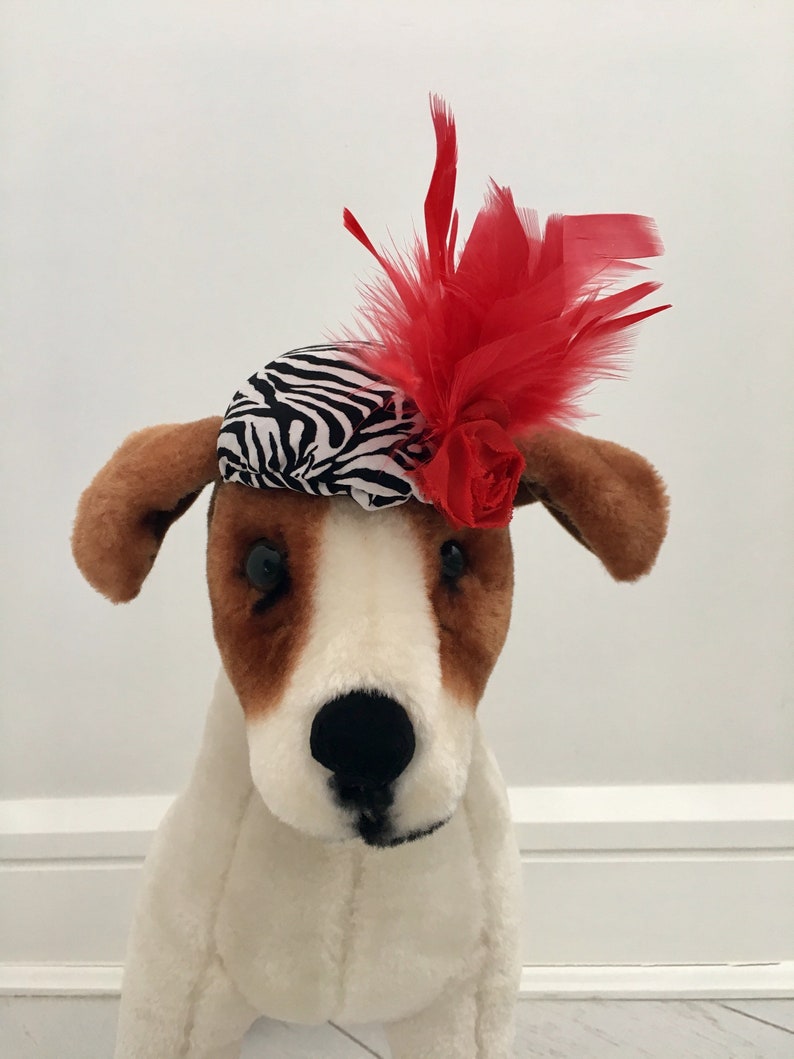 Dog Feather Fascinator Dog Fascinator Kentucky Derby Hat Etsy