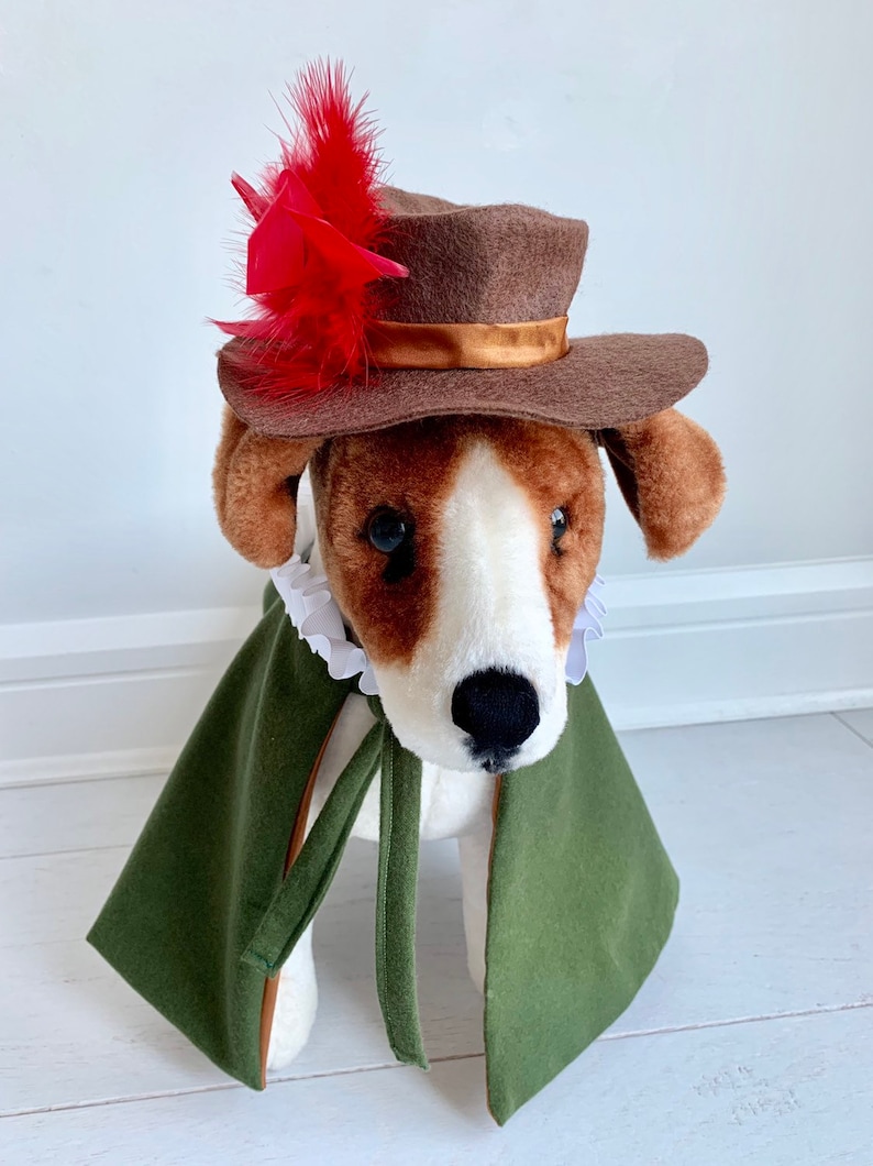 Dog Halloween Costume Halloween Costume Three Musketeers Etsy
