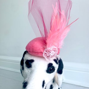 Dog pink fascinator Kentucky Derby hat Dog fascinator Dog Derby hat Dog hat Dog accessory by FiercePetFashion image 1