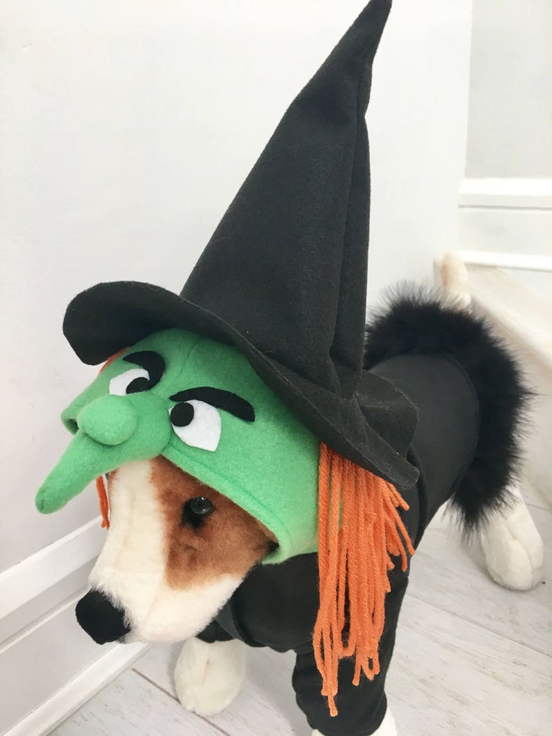 Witch Costume Dog Halloween Costume Dog Witch Costume Pet Etsy