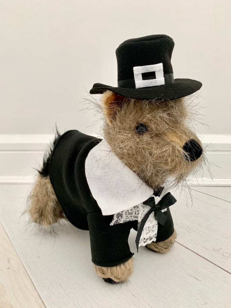 Pilgrim Boy Dog Costume Thanksgiving Dog Costume Pilgrim Dog Etsy