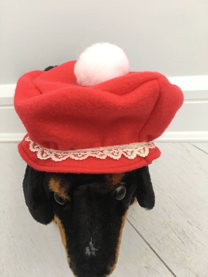Christmas bonnet by FiercePetFashion