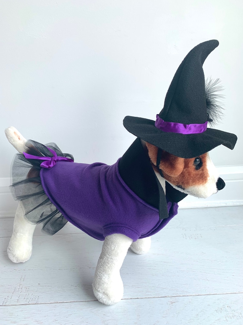 Witch Costume Dog Halloween Costume Dog Witch Costume by | Etsy