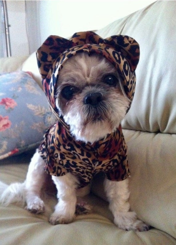 dog leopard costume