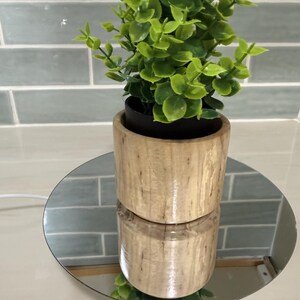 Pode incluir: Uma pequena planta artificial verde com folhas arredondadas está dentro de um vaso cilíndrico de madeira clara. O vaso é colocado sobre uma base de espelho circular, o que cria um reflexo nítido do recipiente de madeira na superfície.