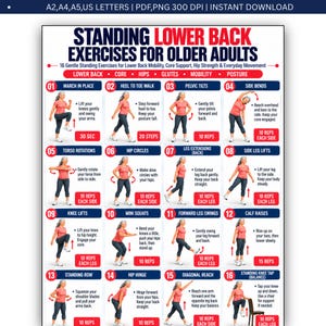 May include: A digital chart titled Standing Lower Back Exercises for Older Adults, featuring 16 numbered illustrations of a person in a pink shirt and dark leggings performing movements like marching, squats, and leg lifts with instructional text.