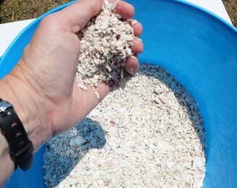 Natural Crushed Shells, 1 lb Broken Shells, Shell Pieces, Vase Filler, Sanibel Island Crushed Shells-Craft Shells-Fragment Shells for Resin