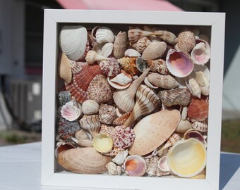 Shell Shadow Box | Etsy