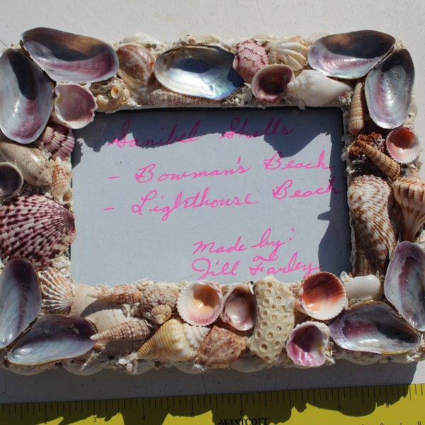 Shell Frame Etsy