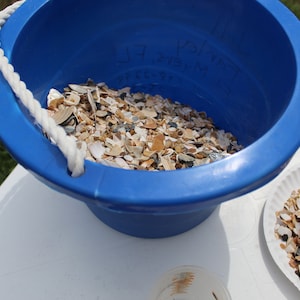 Natural Crushed Shells, 1 lb Broken Shells, Shell Pieces, Vase Filler, Virginia Beach Crushed Shells-Craft Shells-Fragment Shells for Resin image 8