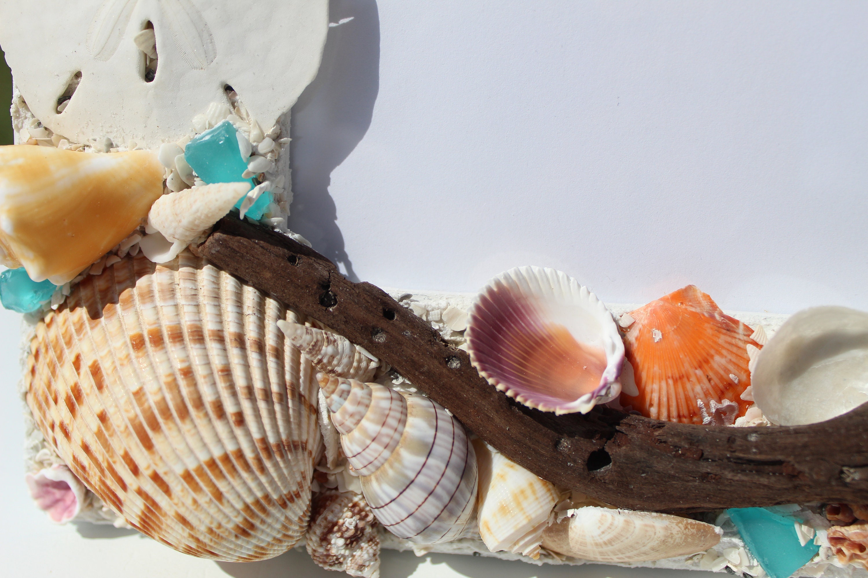 Shea Shell Photo Frame Seashell Photo Frame With Sanibel Shells and Seaglass - Etsy