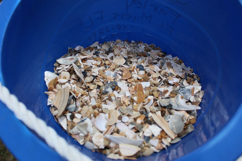 Natural Crushed Shells, 1 lb Broken Shells, Shell Pieces, Vase Filler, Virginia Beach Crushed Shells-Craft Shells-Fragment Shells for Resin image 7