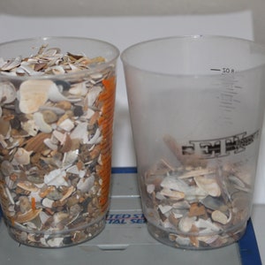 Natural Crushed Shells, 1 lb Broken Shells, Shell Pieces, Vase Filler, Virginia Beach Crushed Shells-Craft Shells-Fragment Shells for Resin image 6