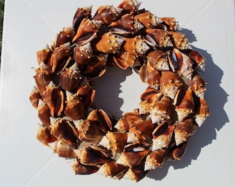 Fighting Conch Shell Wreath, Seashell Wreath, Shell Wall Hanging, Brown Shell Wreath, Fighting Conk Wreath, Nautical Shell Wreath