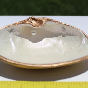 May include: A white seashell with a gold rim, used as a decorative dish. The shell has a smooth, pearlescent finish and a small hole in the center.