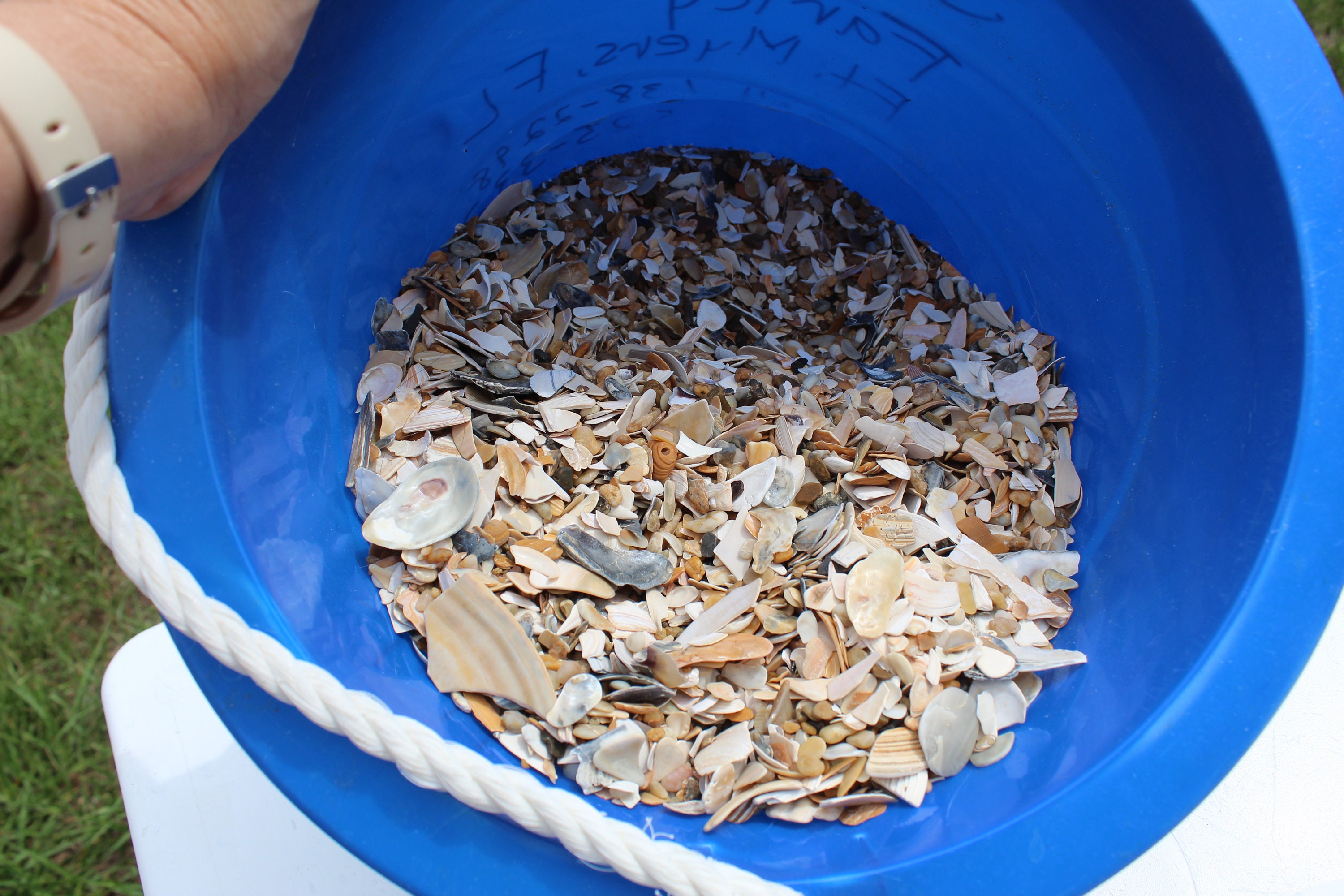 Natural Crushed Shells, 1 Lb Broken Shells, Shell Pieces, Vase Filler