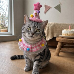 Geburtstagsset für Katzen und Hunde mit kariertem Rüschenlätzchen und austauschbaren Alterszahlen