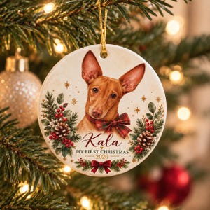 Può includere: Una decorazione natalizia rotonda in ceramica con il ritratto di un cane marrone dalle grandi orecchie che indossa un papillon a quadri rossi e verdi. L'ornamento include il testo Kala, MY FIRST CHRISTMAS e 2026, circondato da rami di pino e bacche rosse.