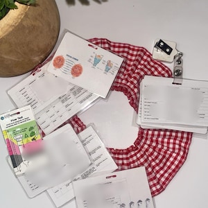 May include: A red and white gingham fabric collar with a ruffled edge, accompanied by several laminated medical reference cards. The cards feature diagrams of vocal cords, flow test instructions, and various clinical charts with printed text.