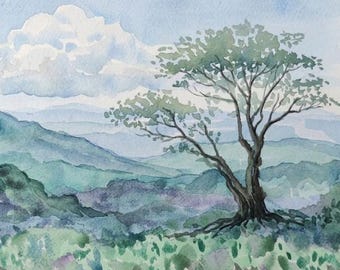 Mantiqueira-Gebirge - Campos do Jordão - Brasilien