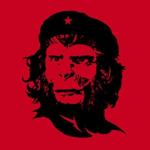 May include: Black and white illustration of a monkey wearing a red beret with a star on it. The monkey has a serious expression and is looking directly at the viewer.