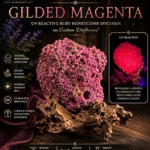 May include: A Gilded Magenta UV-reactive ruby honeycomb specimen on custom driftwood. The specimen weighs 2 lb 1.4 oz, with a length of 4.27 inches and a height of 3.88 inches. It features a natural honeycomb structure with golden sparkles.
