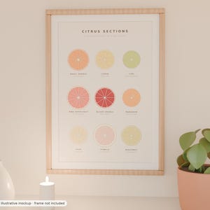 May include: A framed wall art print titled Citrus Sections featuring a grid of nine illustrated citrus fruit slices including navel orange, lemon, lime, pink grapefruit, blood orange, mandarin, yuzu, pomelo, and bergamot with their names printed below.