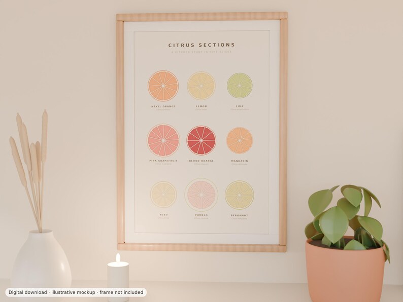 May include: A framed wall art print titled Citrus Sections featuring a grid of nine illustrated citrus fruit slices including navel orange, lemon, lime, pink grapefruit, blood orange, mandarin, yuzu, pomelo, and bergamot with their names printed below.