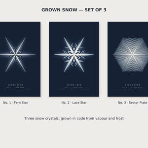 K&ouml;nnte beinhalten: Ein Set aus drei dunkelblauen Postern mit dem Titel GROWN SNOW. Jedes zeigt eine wei&szlig;e geometrische Schneeflocken-Illustration: No. 1 Fern Star, No. 2 Lace Star und No. 3 Sector Plate. Der Text lautet: Three snow crystals, grown in code from vapour and frost.