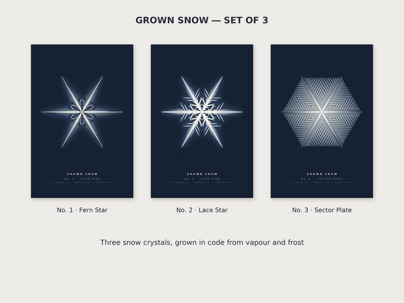 K&ouml;nnte beinhalten: Ein Set aus drei dunkelblauen Postern mit dem Titel GROWN SNOW. Jedes zeigt eine wei&szlig;e geometrische Schneeflocken-Illustration: No. 1 Fern Star, No. 2 Lace Star und No. 3 Sector Plate. Der Text lautet: Three snow crystals, grown in code from vapour and frost.