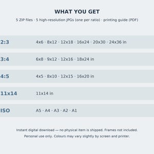 Może przedstawiać: Tabela informacyjna pobierania cyfrowego zatytułowana WHAT YOU GET, zawierająca 5 plik&oacute;w ZIP, 5 plik&oacute;w JPG w wysokiej rozdzielczości oraz instrukcję drukowania. Wyszczeg&oacute;lnia proporcje 2:3, 3:4, 4:5, 11x14 oraz formaty ISO od A5 do A1 w calach.