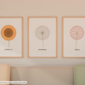 Op de afbeelding: Drie verticale wandposters in lichte houten lijsten. De linker poster toont een oranje zonnebloem, de middelste een witte paardenbloem en de rechter een roze allium. Elke poster bevat de naam van de plant in zwarte letters.