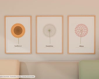 May include: Three vertical wall art prints in light wood frames. The left print features an orange sunflower, the centre print shows a white dandelion, and the right print displays a pink allium. Each print includes the plant name in black text.