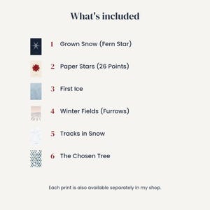 May include: A list titled What's included featuring six numbered items: 1 Grown Snow (Fern Star), 2 Paper Stars (26 Points), 3 First Ice, 4 Winter Fields (Furrows), 5 Tracks in Snow, and 6 The Chosen Tree, with small thumbnail images.
