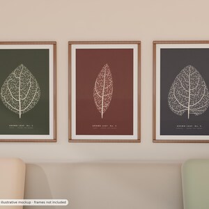 May include: Three framed wall art prints featuring white skeletal leaf illustrations on solid backgrounds of dark green, deep red, and charcoal gray. Each print includes the text "GROWN LEAF NO. 1", "GROWN LEAF NO. 2", and "GROWN LEAF NO. 3".