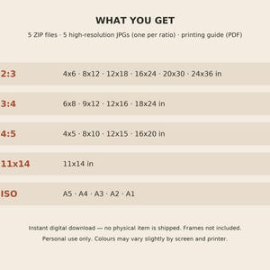 May include: A digital file information chart titled WHAT YOU GET, listing 5 ZIP files, 5 high-resolution JPGs, and a printing guide. It details aspect ratios 2:3, 3:4, 4:5, 11x14, and ISO with corresponding dimensions in inches and paper sizes.