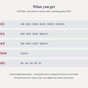 May include: A digital download information chart titled What you get, listing 5 ZIP files and 6 print ratios. It displays dimensions in inches for 2:3, 3:4, 4:5, and 11x14 ratios, plus ISO paper sizes A5, A4, A3, A2, and A1 for printing.